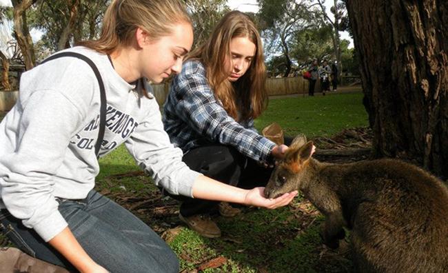 Sion Students Visit the Land Down Under