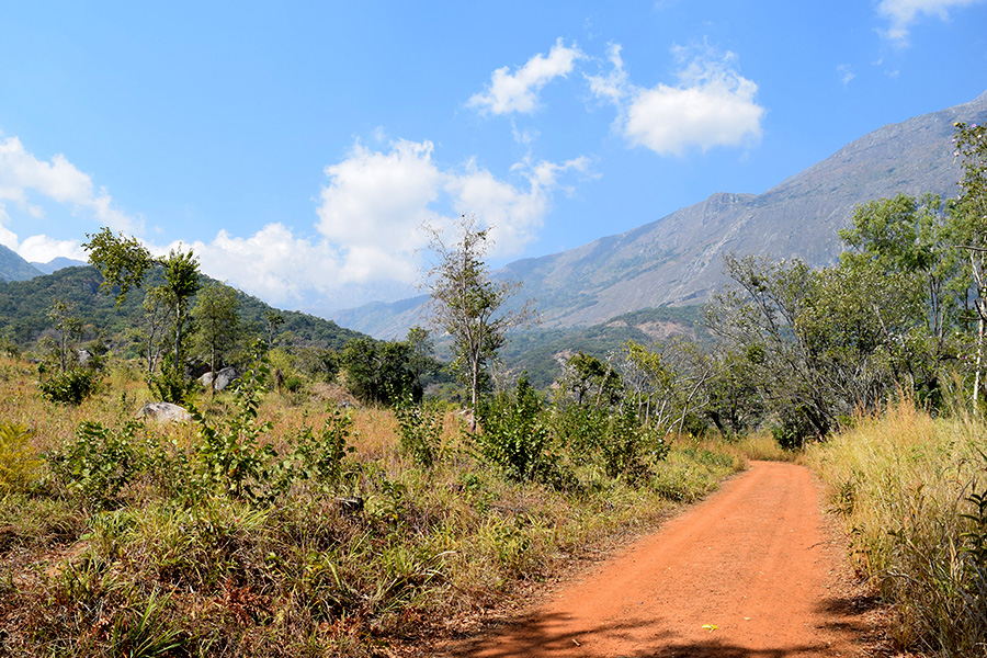 August is a winter month in Malawi and part of one of its dry seasons.