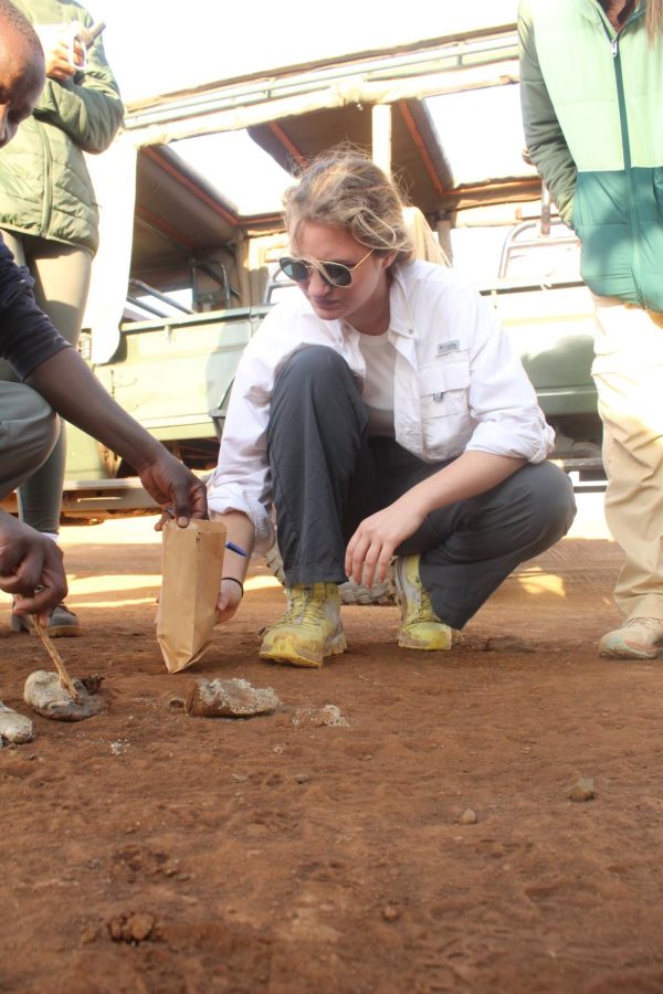 Junior Lucy Wittek help predator monitor Felix pick up lion scat to analvze at the lab.